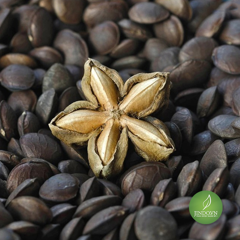 Hạt Sachi Sấy Chín Organic