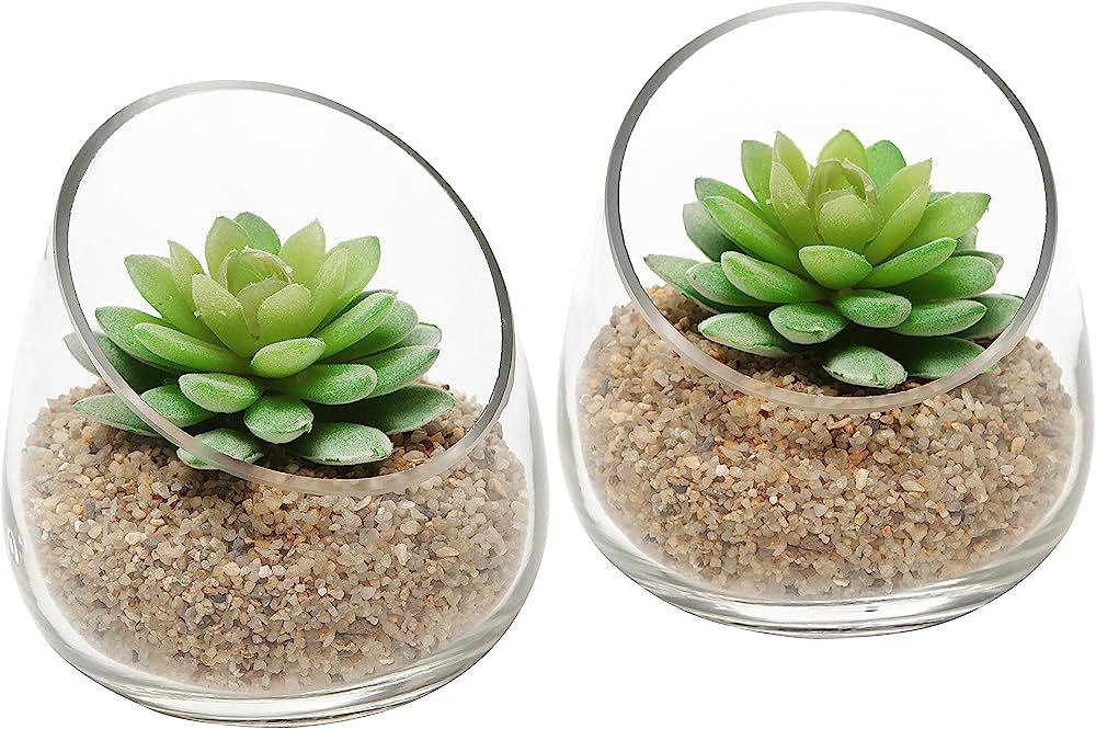 Chậu thuỷ tinh miệng nghiêng S