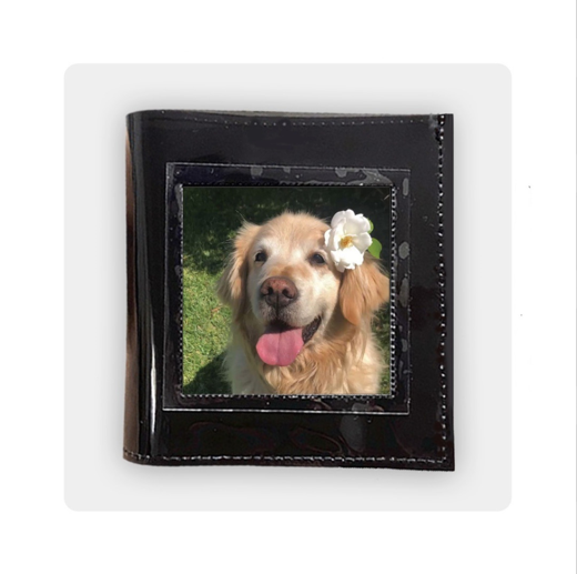 VÍ NHỰA THỜI TRANG UNISEX 01