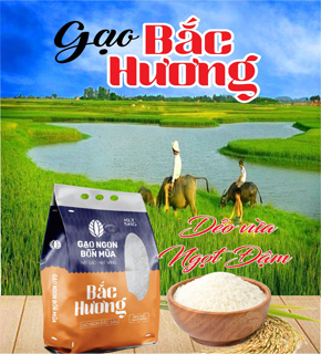 Gạo Bắc Hương ( Tài )
