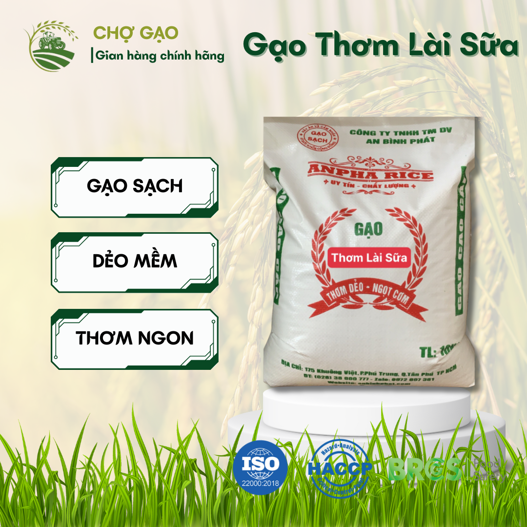 Gạo Thơm Lài Sữa