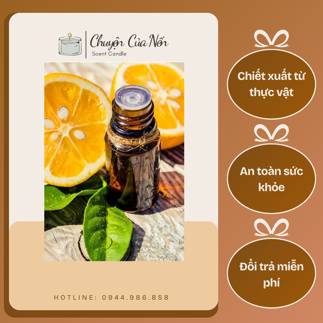 Tinh Dầu Thiên Nhiên Nguyên Chất Làm Nến Thơm – Mùi Hương Thư Giãn, Dễ Pha Chế DIY Candle