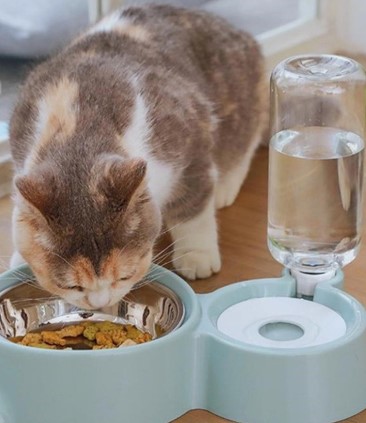 Bát Đựng Thức Ăn Tự Động Cho Chó Mèo