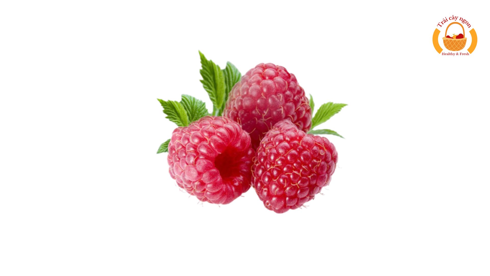 Mân Xôi/Phúc Bồn Tử