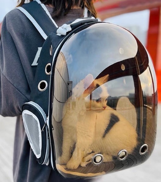 Balo phi hành gia cho mèo