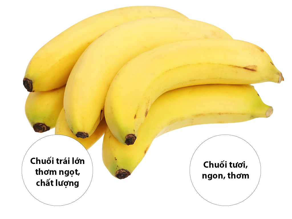 Chuối già Nam Mỹ