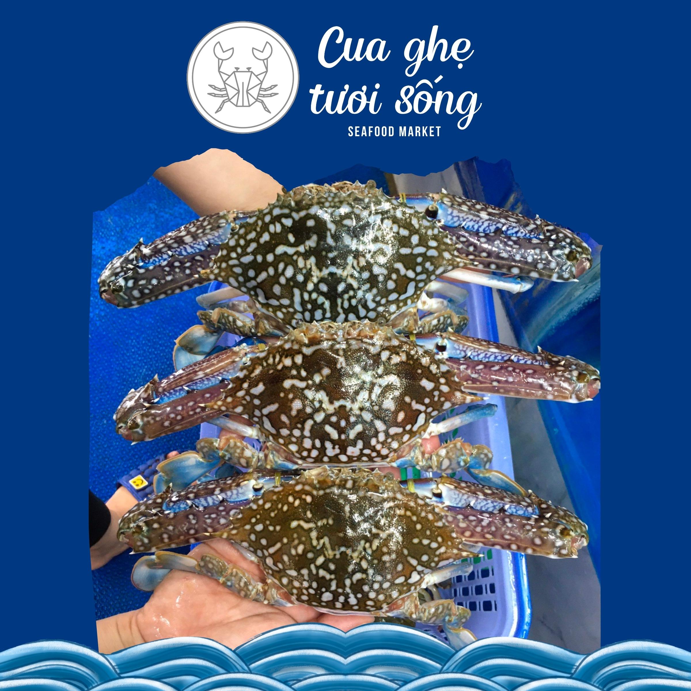 Ghẹ xanh tươi sống cực ngon