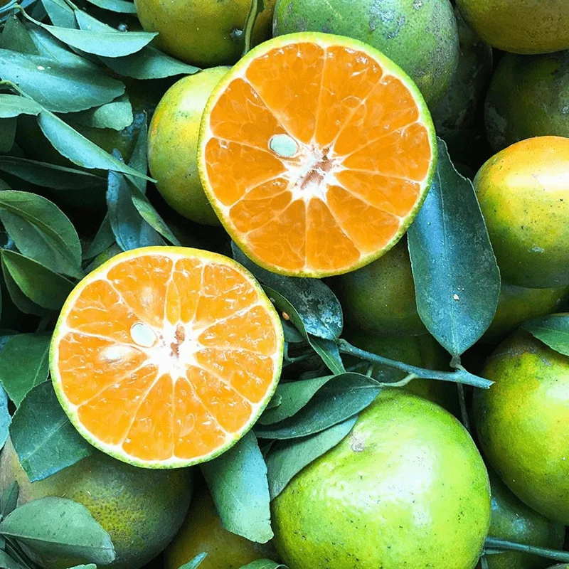 Quýt Đường Cái Bè Vỏ Mỏng Siêu Ngọt - Nông trại nhỏ