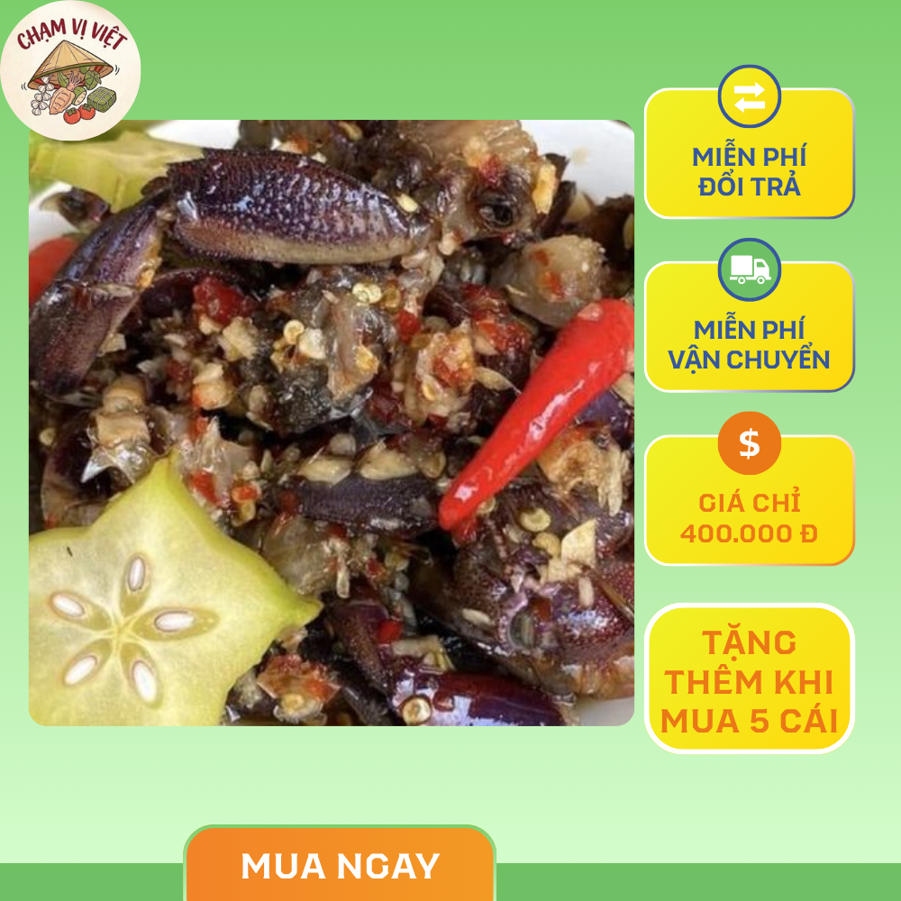 Mắm ba khía Chạm Vị Việt - nhà làm