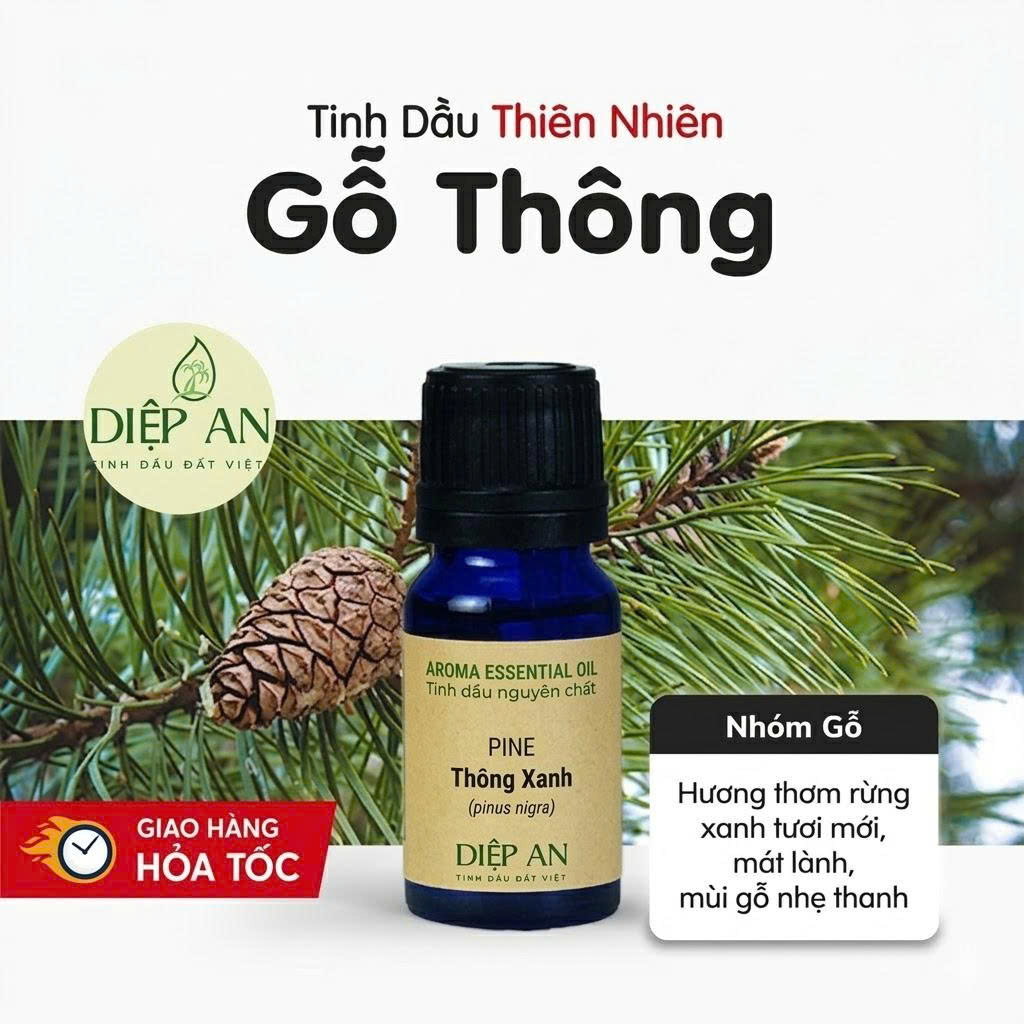 Tinh dầu thông nguyên chất ( 20ml)