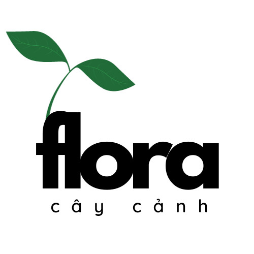Cây Cảnh Flora