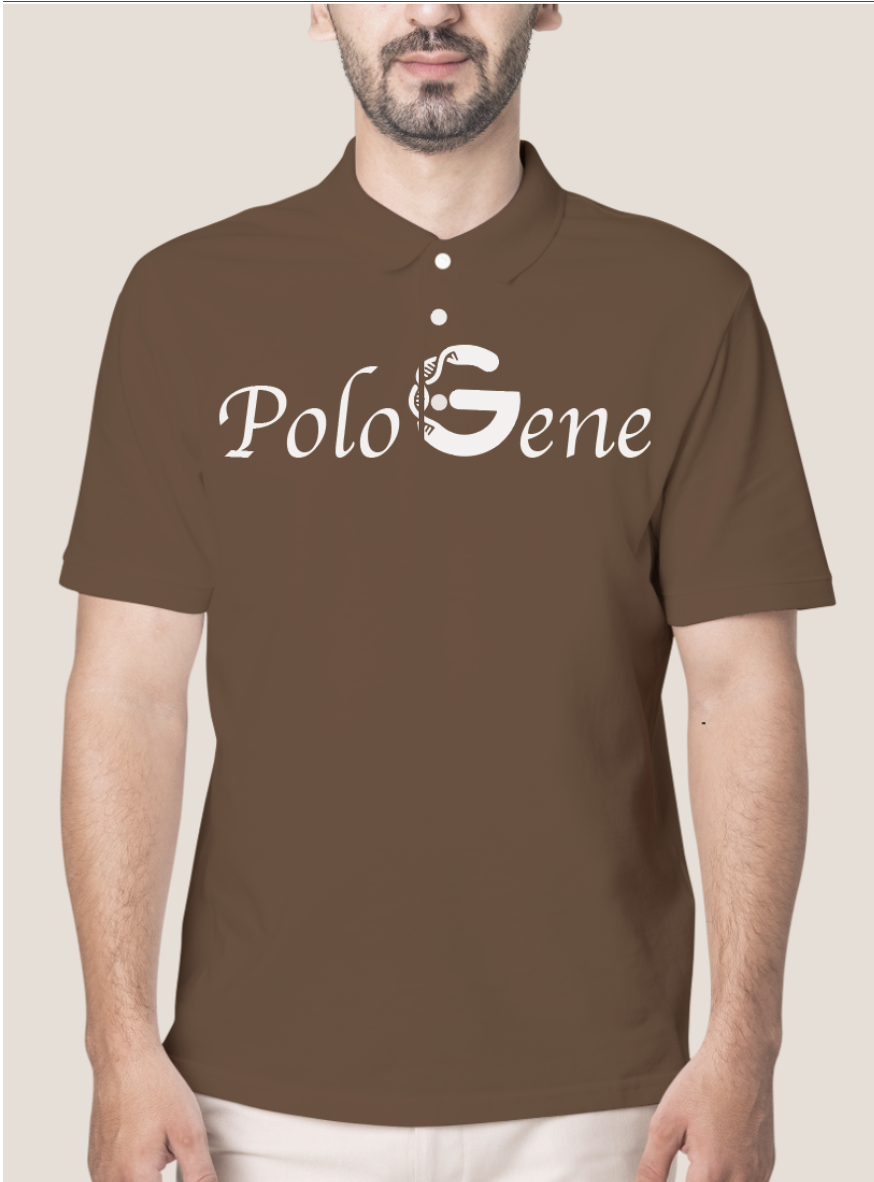 Áo Thun Có Cổ Nam Big Logo (HT000101)