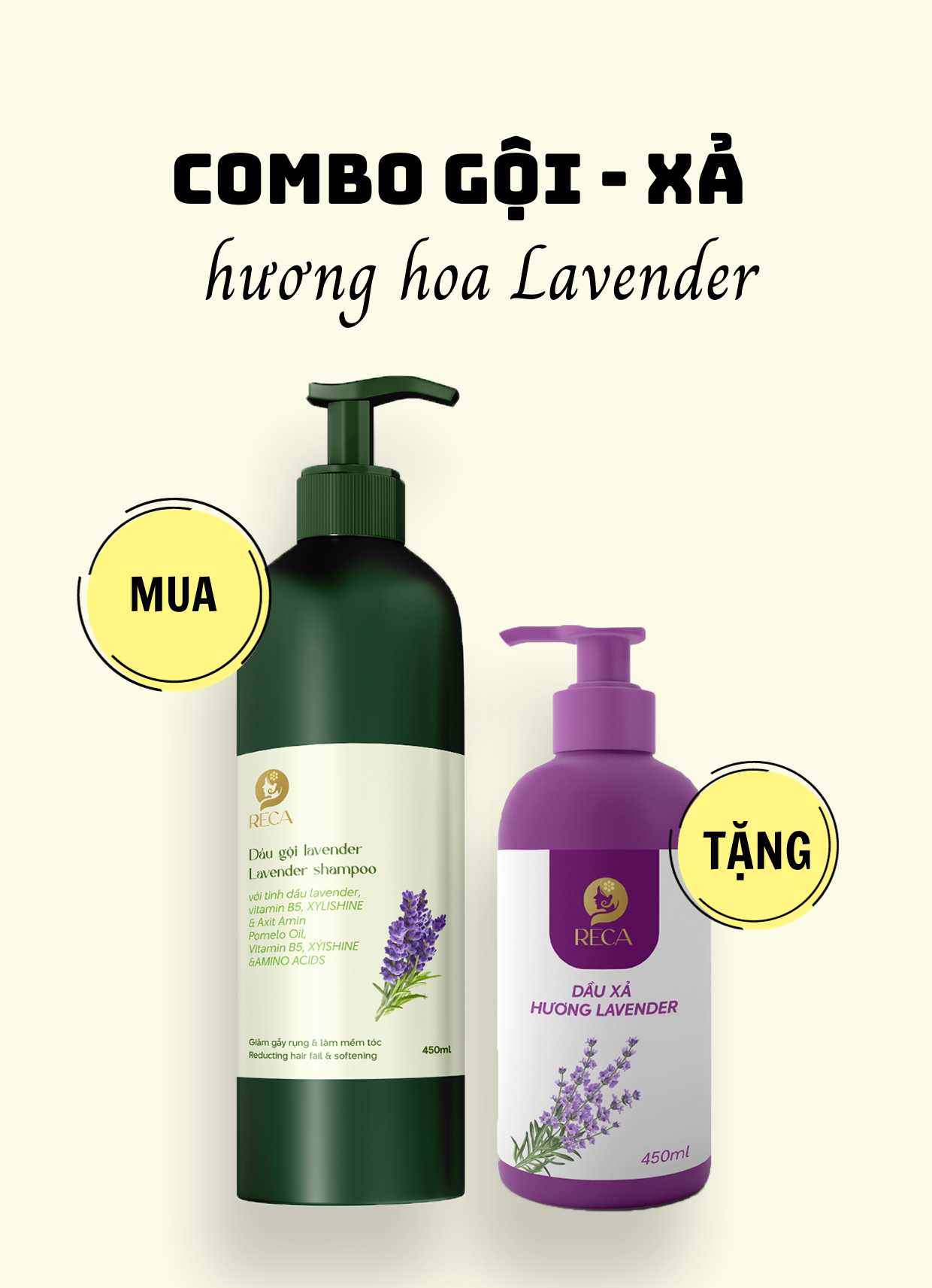 COMBO Gội - Xã ( Lavender )