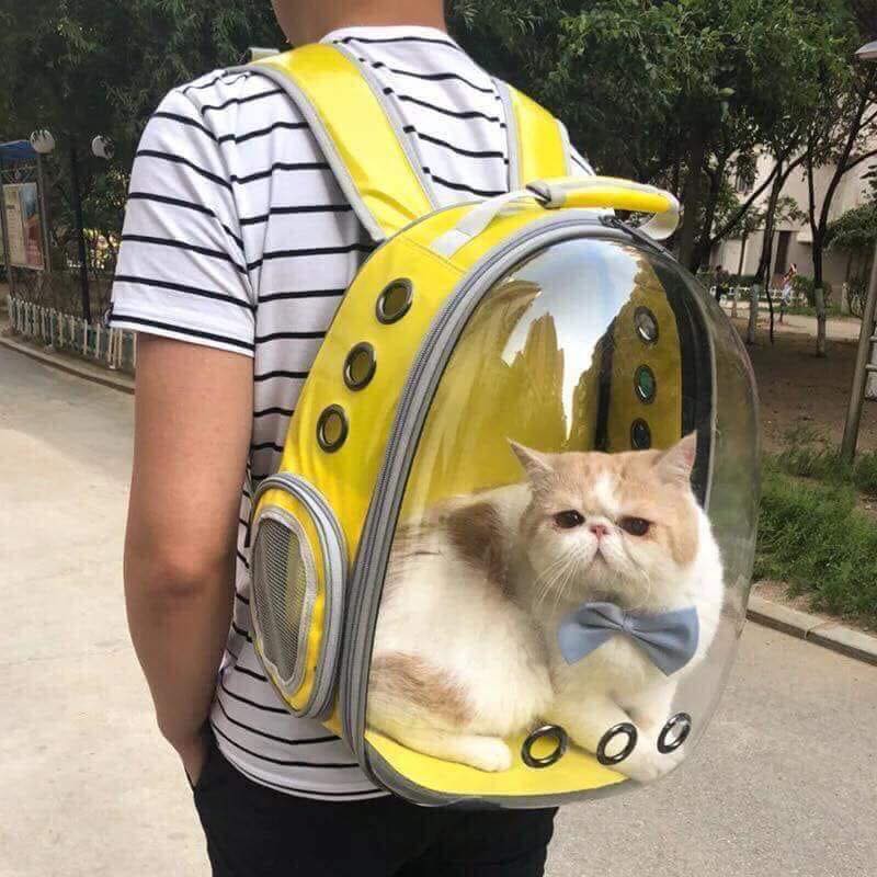 Balo phi hành gia cho chó mèo – CG Pet Home