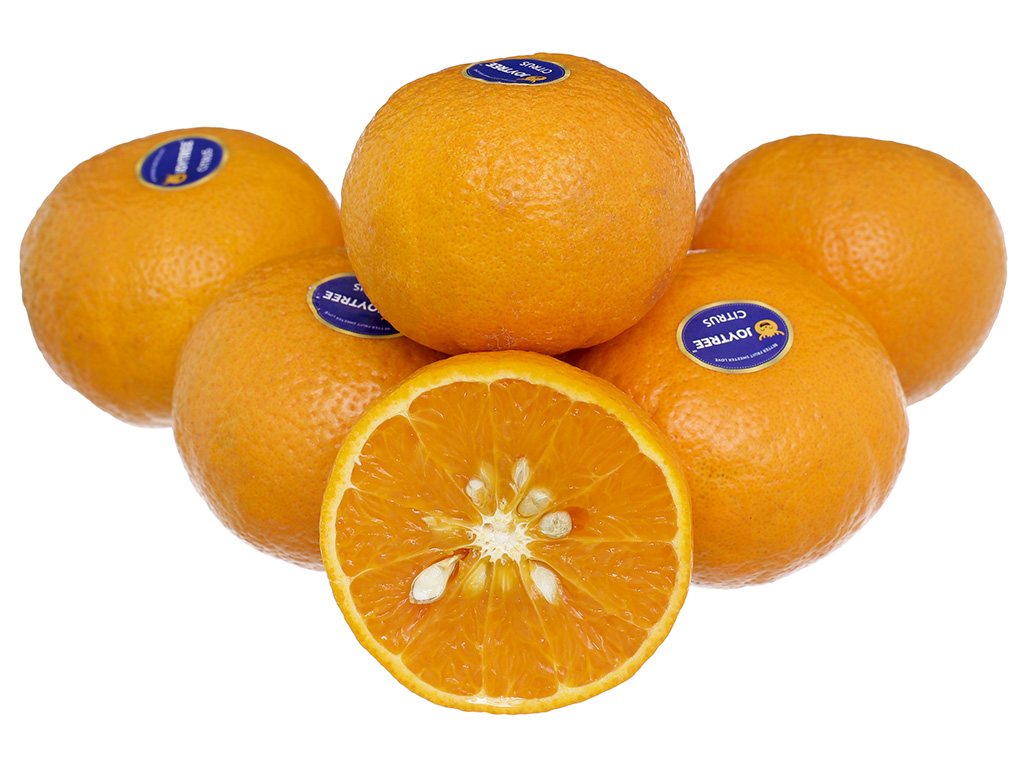 Quýt mật giống Úc 1kg