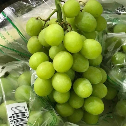 Nho Xanh Perru Cành