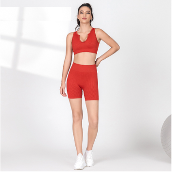 Bộ thể thao áo cộc tay cổ chữ V