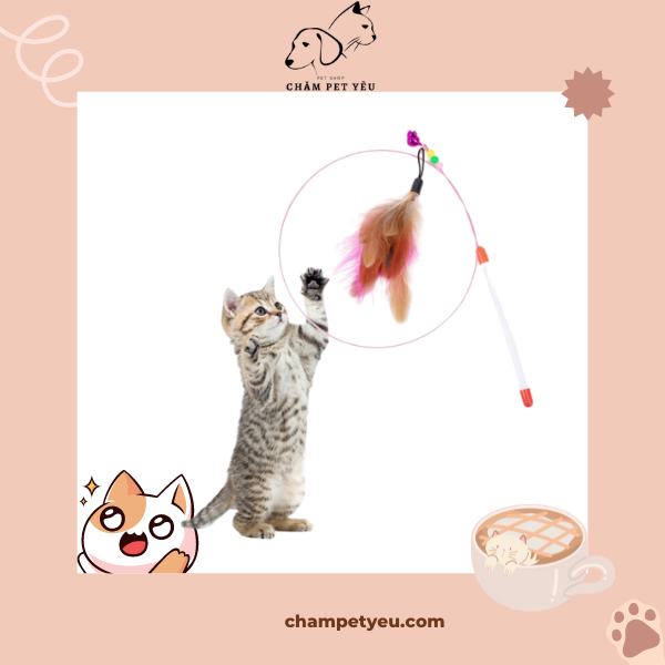 CẦN TRÊU MÈO LÔNG VŨ