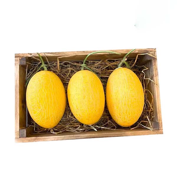 Dưa lưới giòn Việt Nam