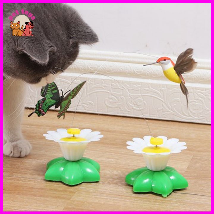 Đồ Chơi Bắt Bướm, Tự Động Bay Lượn Cho Thú Cưng Có Thể Xoay Tròn Độc Đáo
