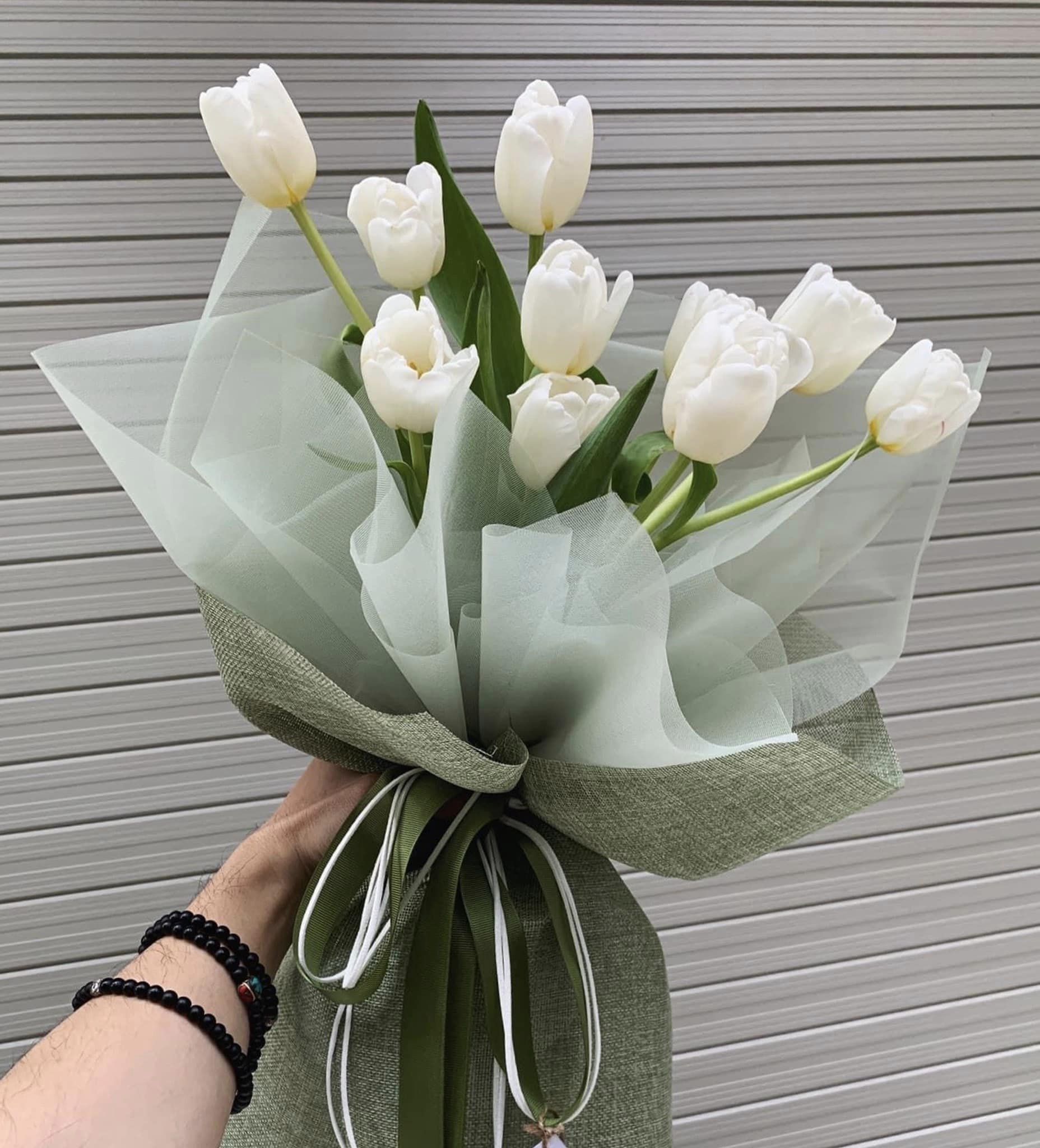 White Tulip