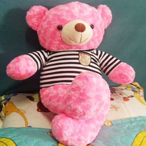 Teddy Pink