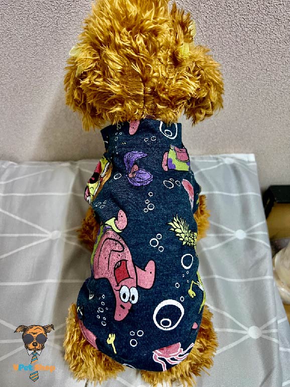 Áo cho mèo hình chú bọt biển