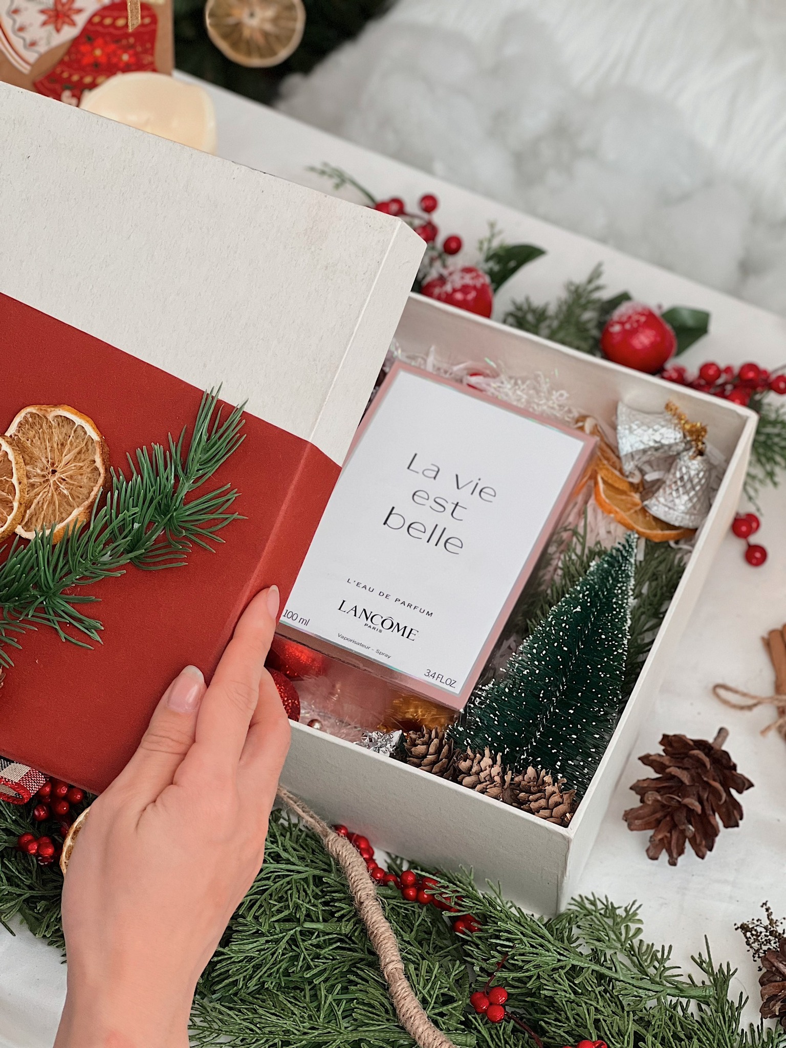 ✨ 𝗟𝗮𝗻.𝗰𝗼𝗺𝗲 𝗟𝗮.𝘃𝗶𝗲 𝗘𝘀𝘁 𝗕𝗲.𝗹𝗹𝗲 𝗘𝗗𝗣 ✨