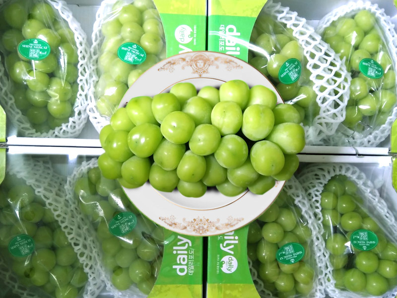 Nho Mẫu Đơn Nhật Bản