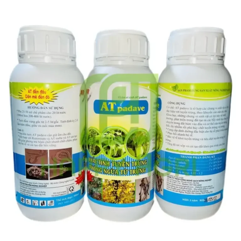 PHÂN VI SINH HIỆU AT PADAVE