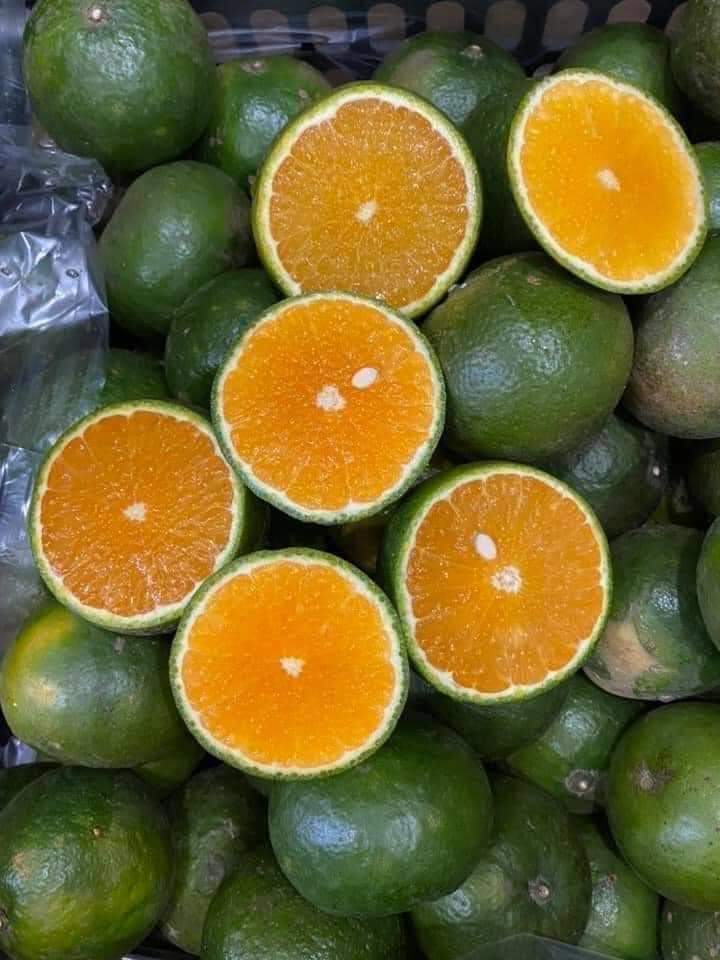 Cam sành miền tây