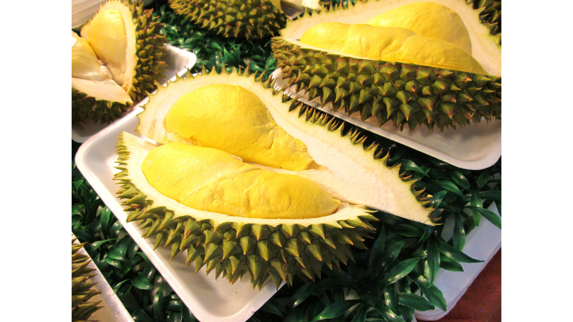 Sầu riêng Musang King ( Loại 03 )