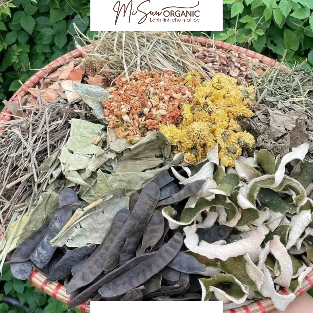 Gói Gội Đầu 8 Thành Phần MiSuu Organic