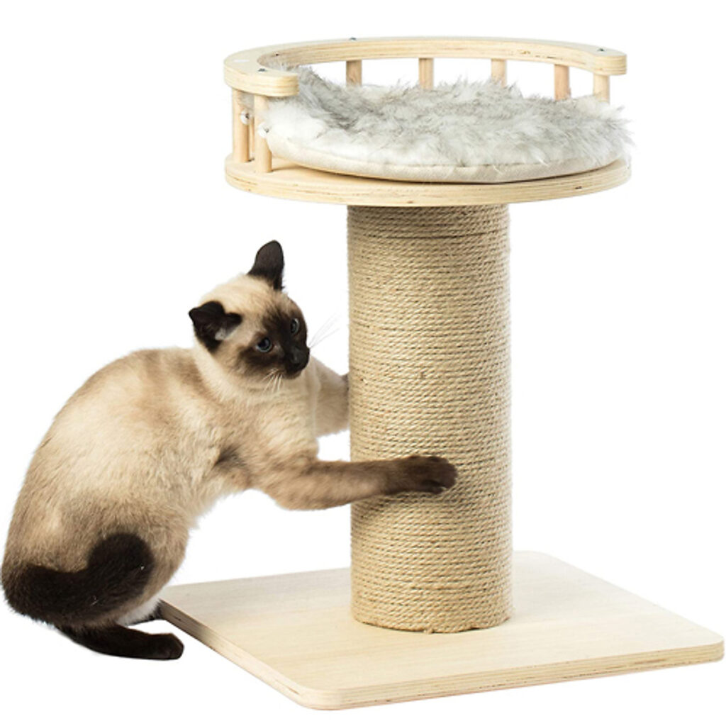 Dây cào móng cho mèo