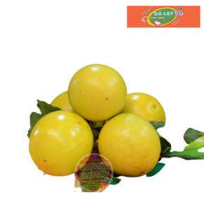 Vú sữa Hoàng Kim - kg