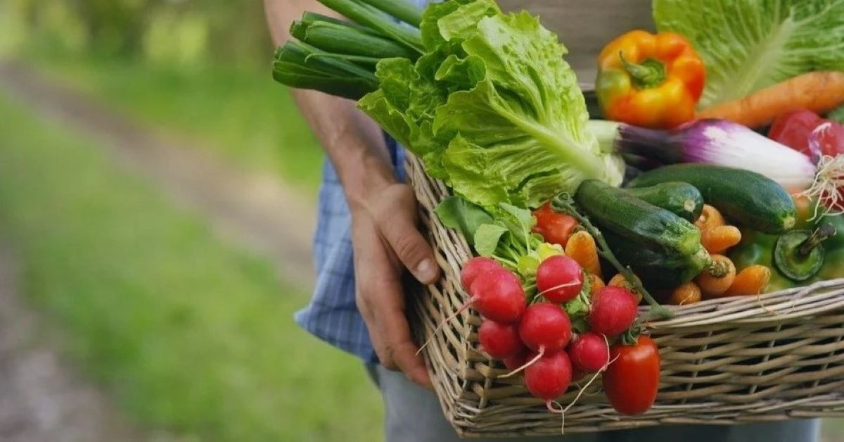 5 loại rau củ quả giúp giảm cân “cấp tốc” an toàn sức khỏe