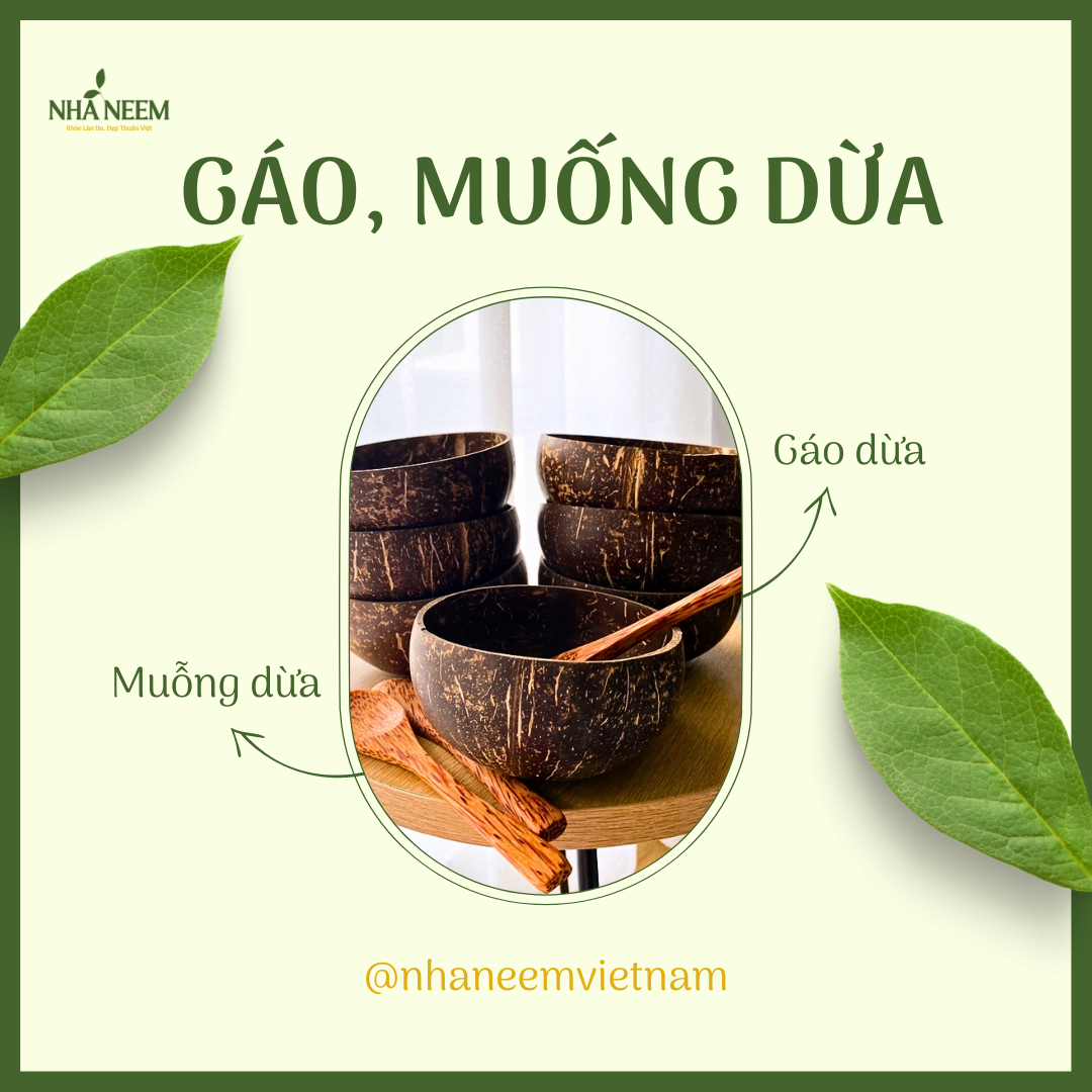 Gáo dừa phụ kiện trang trí