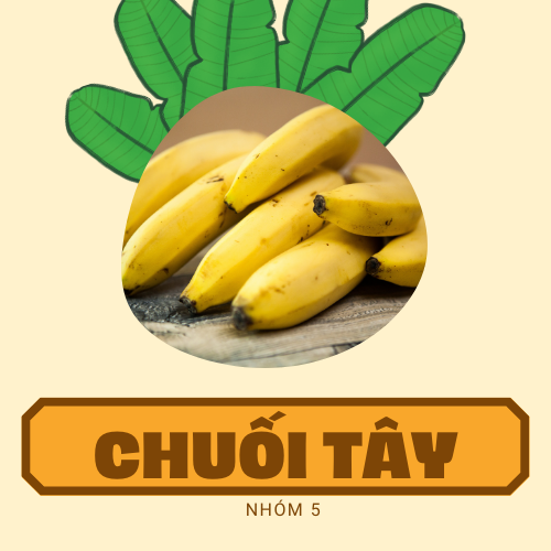 Chuối Tây