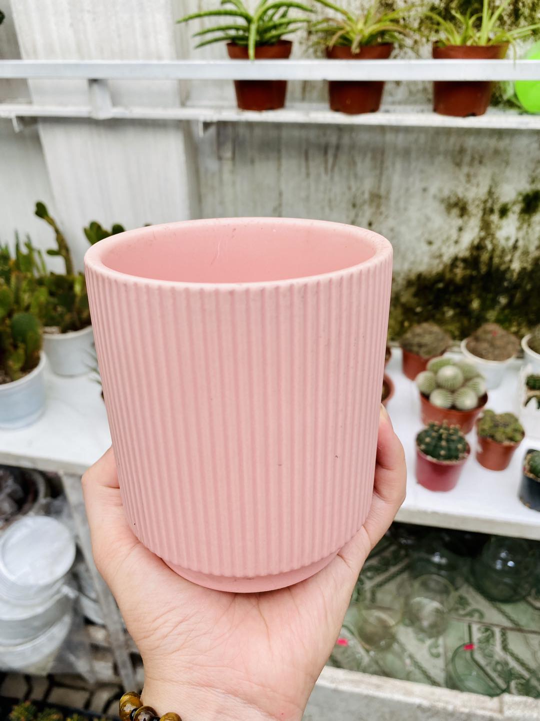 Chậu gốm hồng cao