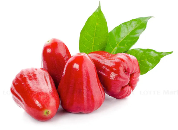 Mận Đỏ Phước An NB001 Đặc Ruột