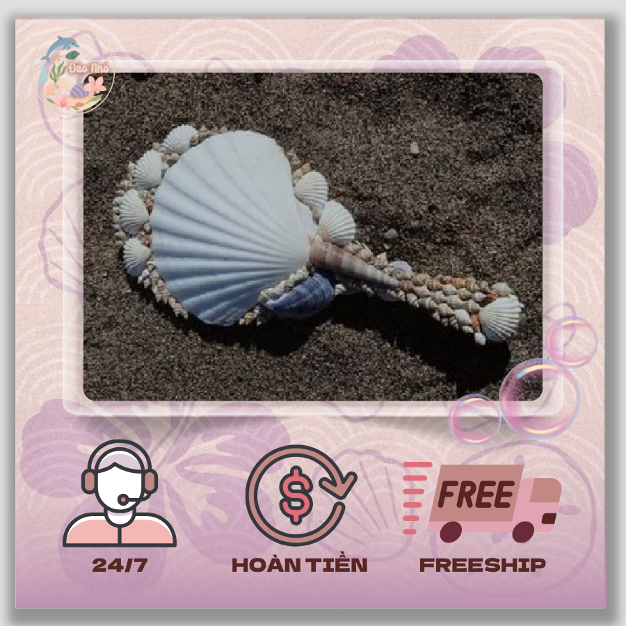 Gương vỏ sò cầm tay, ốc biển trang trí hai mặt | Đảo Nhỏ Handmade.