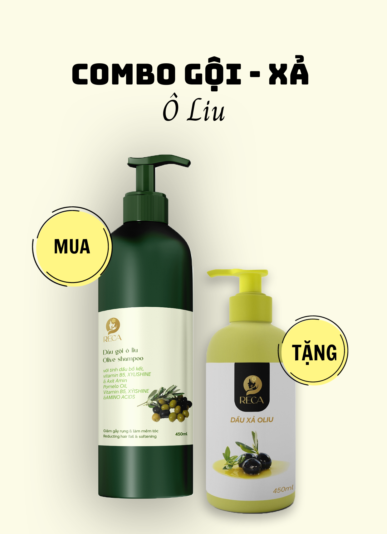 COMBO Gội - Xã ( Ô liu  )
