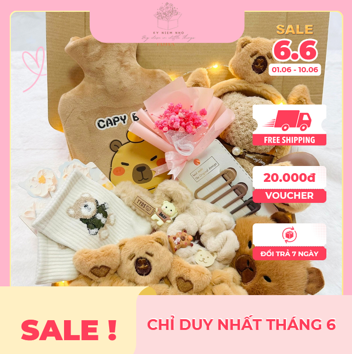 Kỷ Niệm Nhỏ - Box set quà phụ kiện Capybarra dễ thương tặng bạn bè,đồng nghiệp....
