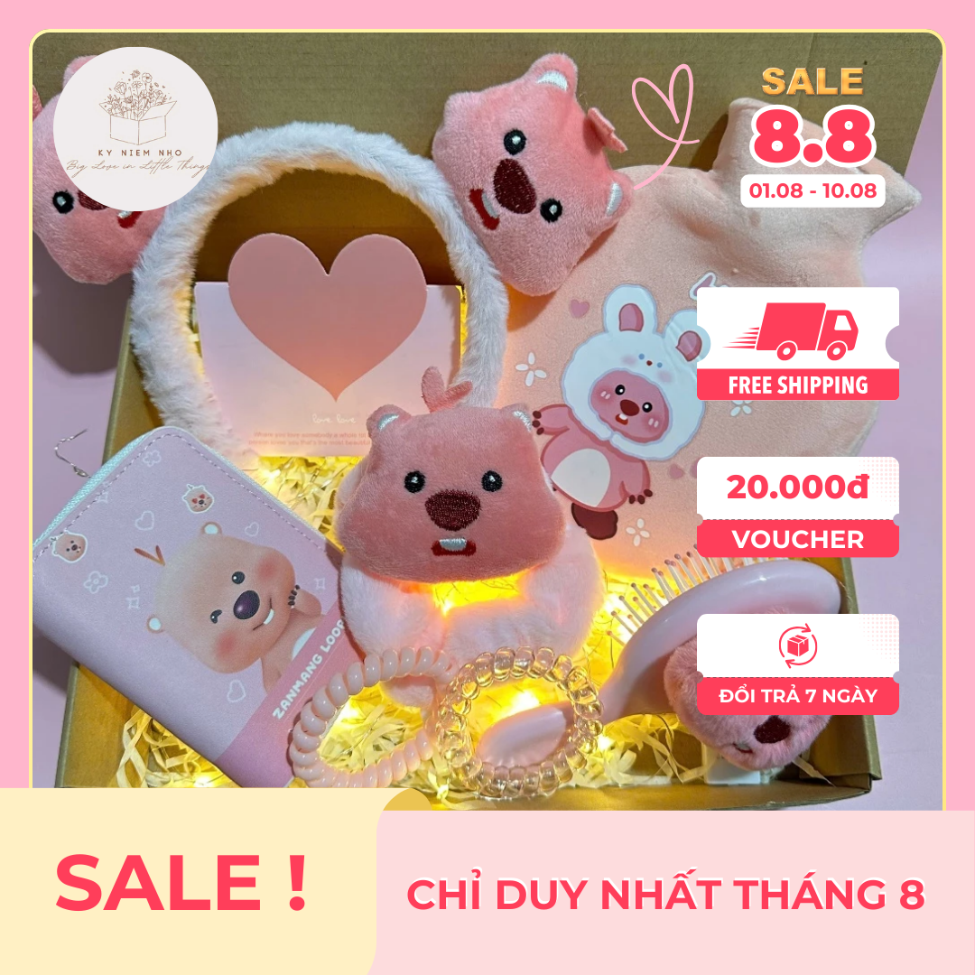 Kỷ Niệm Nhỏ - Box quà tặng túi chườm bụng Loopy 400ml dành tặng bạn bè, người yêu, người thân siu dễ thương