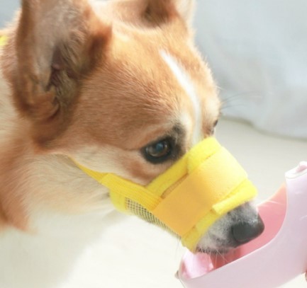 Rọ mõm bằng vải lưới thoáng khí