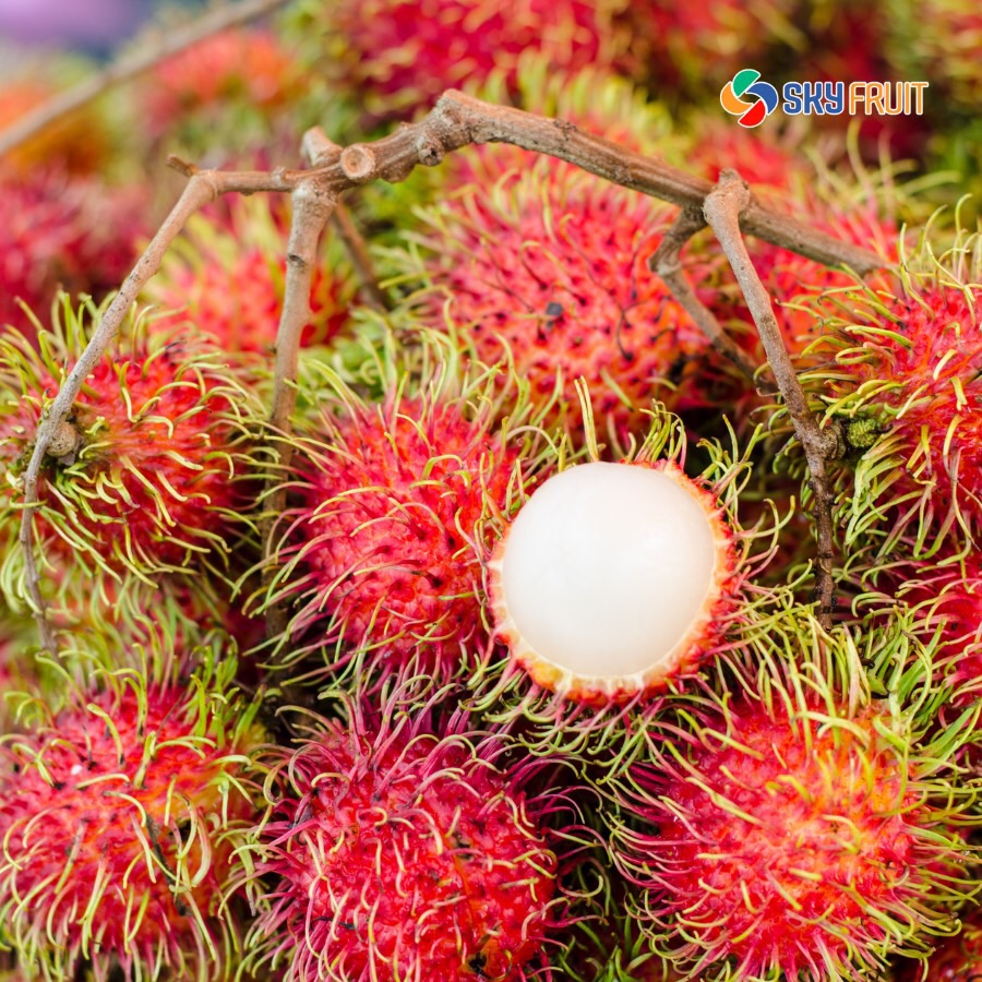 Chôm Chôm Thái Bến Tre