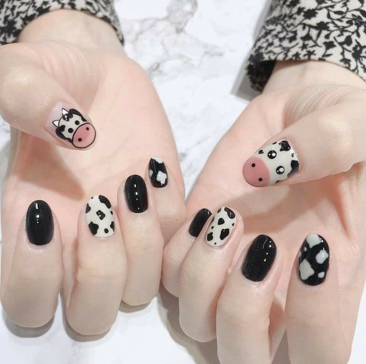 Mẫu nailbox bò sữa trắng đen
