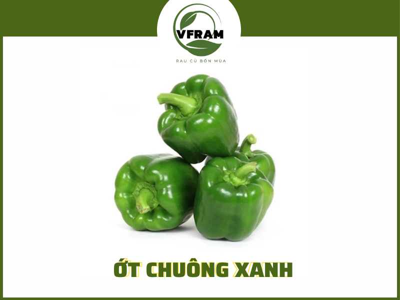 Ớt Chuông Xanh