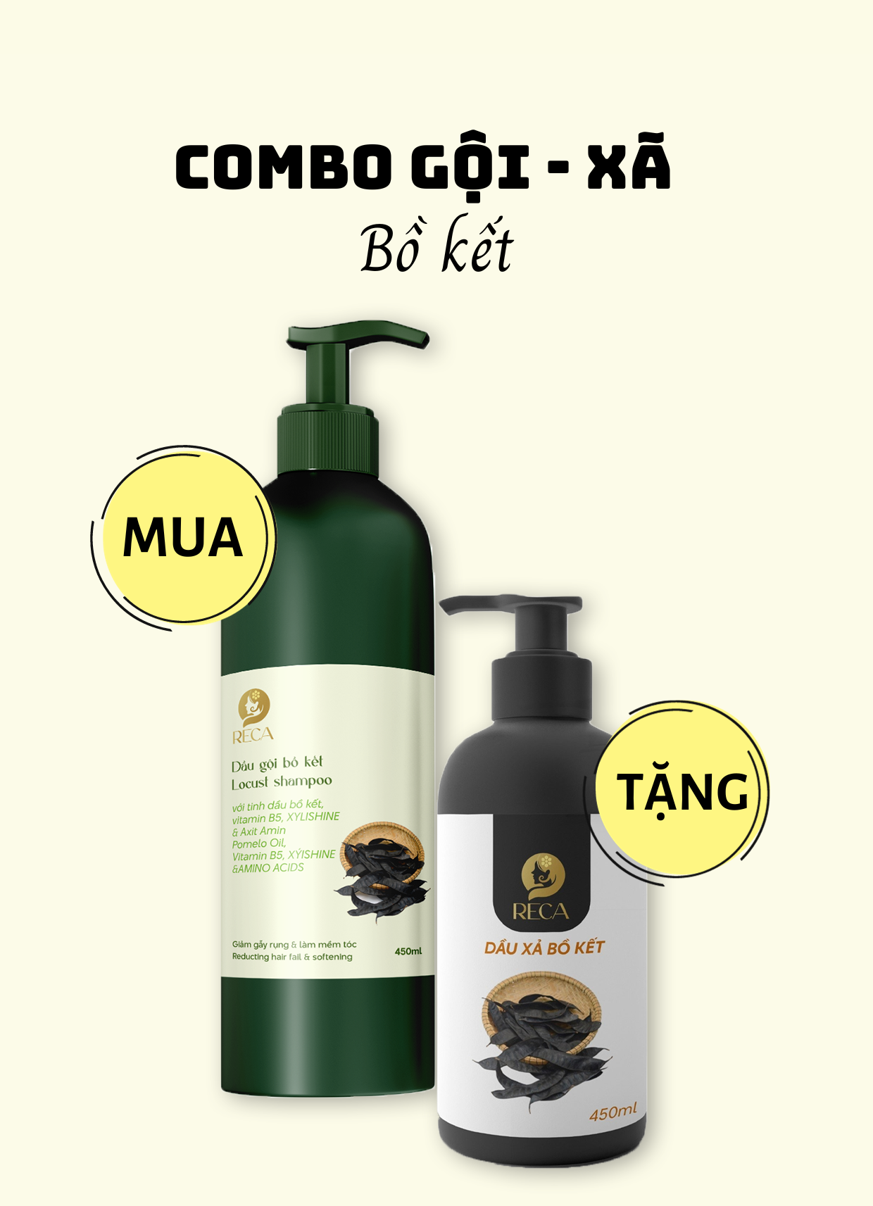 COMBO Gội - Xã ( Bồ kết )