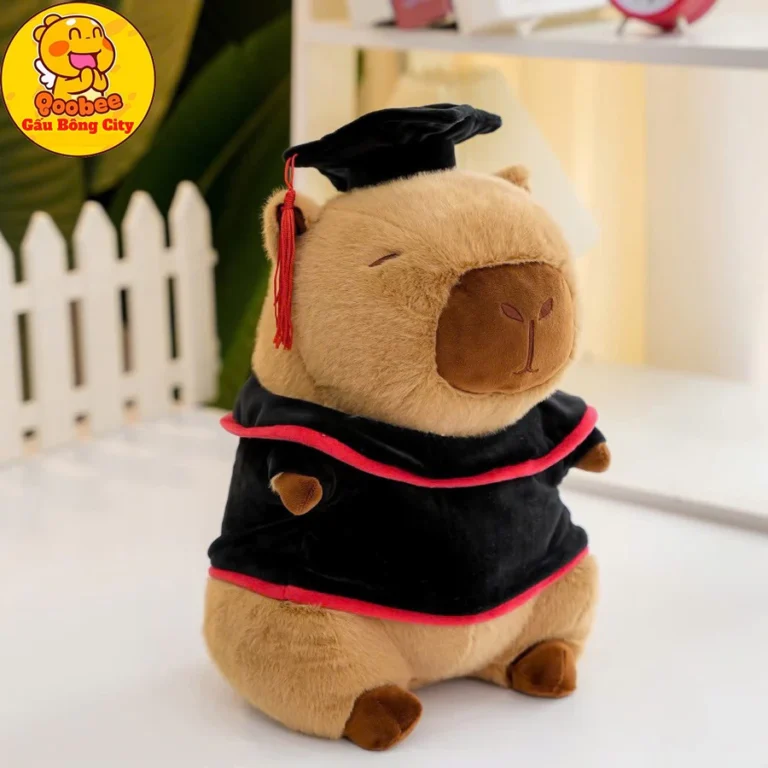 Gấu Bông Tốt Nghiệp Capybara